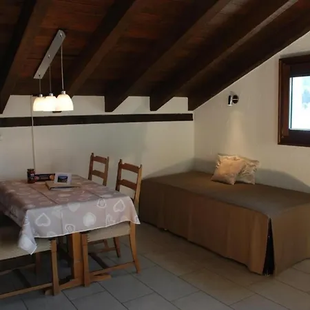 Arnica 5 * La Punt-Chamues-ch